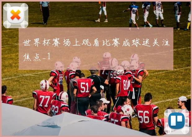 世界杯赛场上观看比赛成球迷关注焦点_1