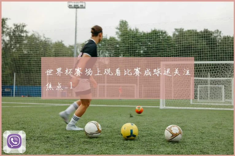 世界杯赛场上观看比赛成球迷关注焦点_1