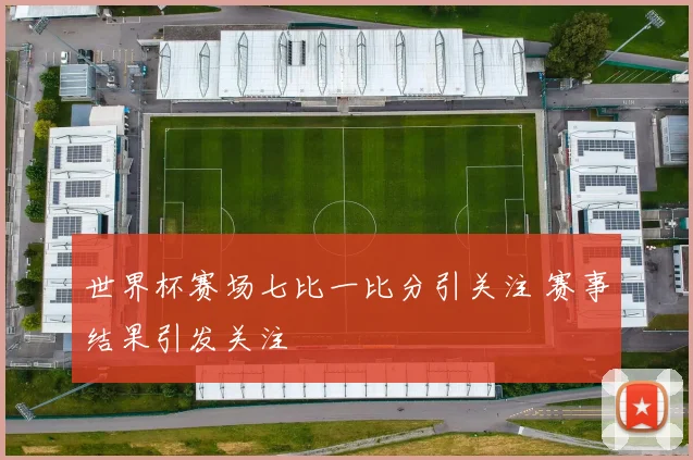 世界杯赛场七比一比分引关注 赛事结果引发关注